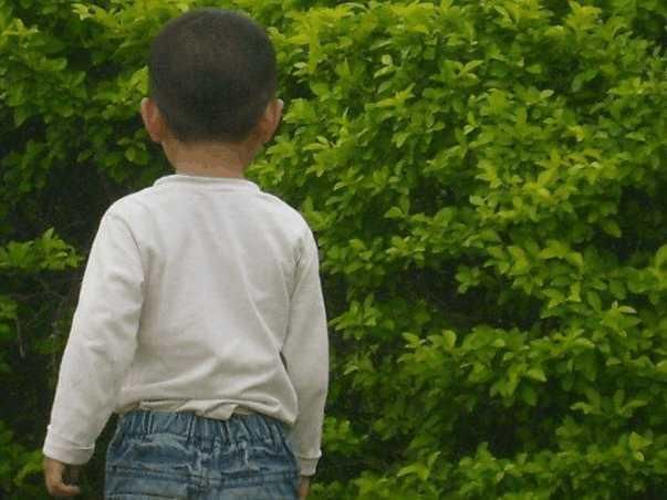 4岁儿童因误服这玩意脸色苍白冒汗抽搐, 家长