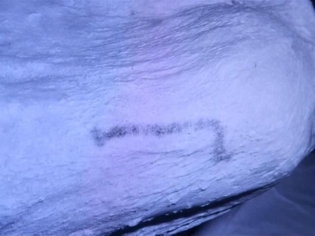 埃及木乃伊身上发现了世界上最早的纹身图案