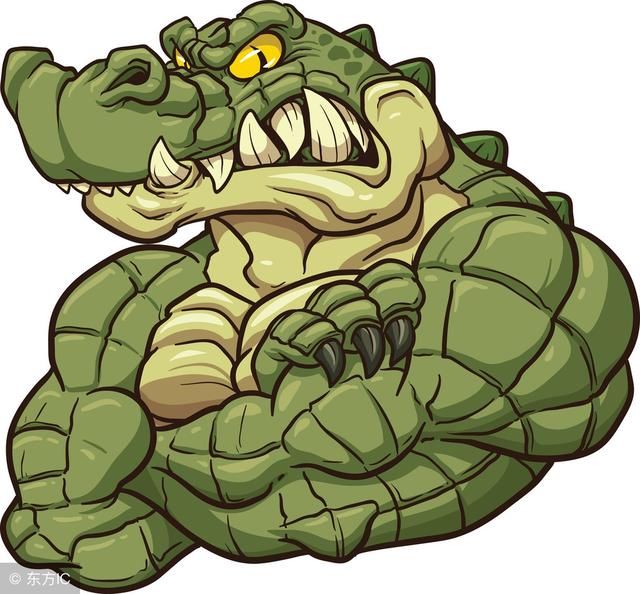 动物被误解的事,原来乌龟寿命是这么长