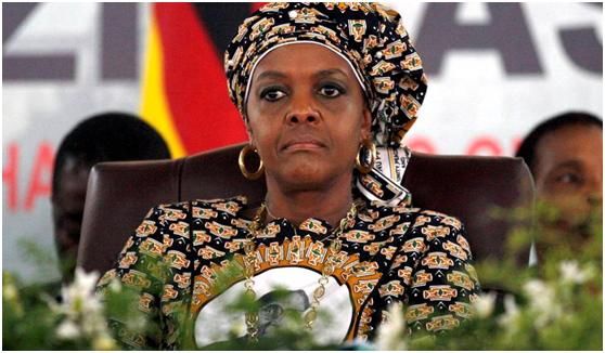 津巴布韦前总统夫人涉嫌向中、美等国走私象牙