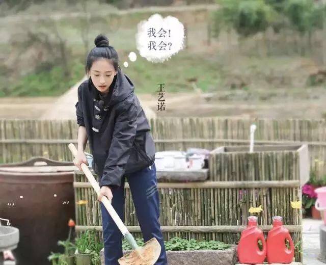 大学堪比整容院 黄磊学生曝自己的减肥秘籍:不