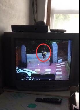 目前，辖区警方已对此事展开调查，被遗弃的婴儿已被送往有关部门进行照料。