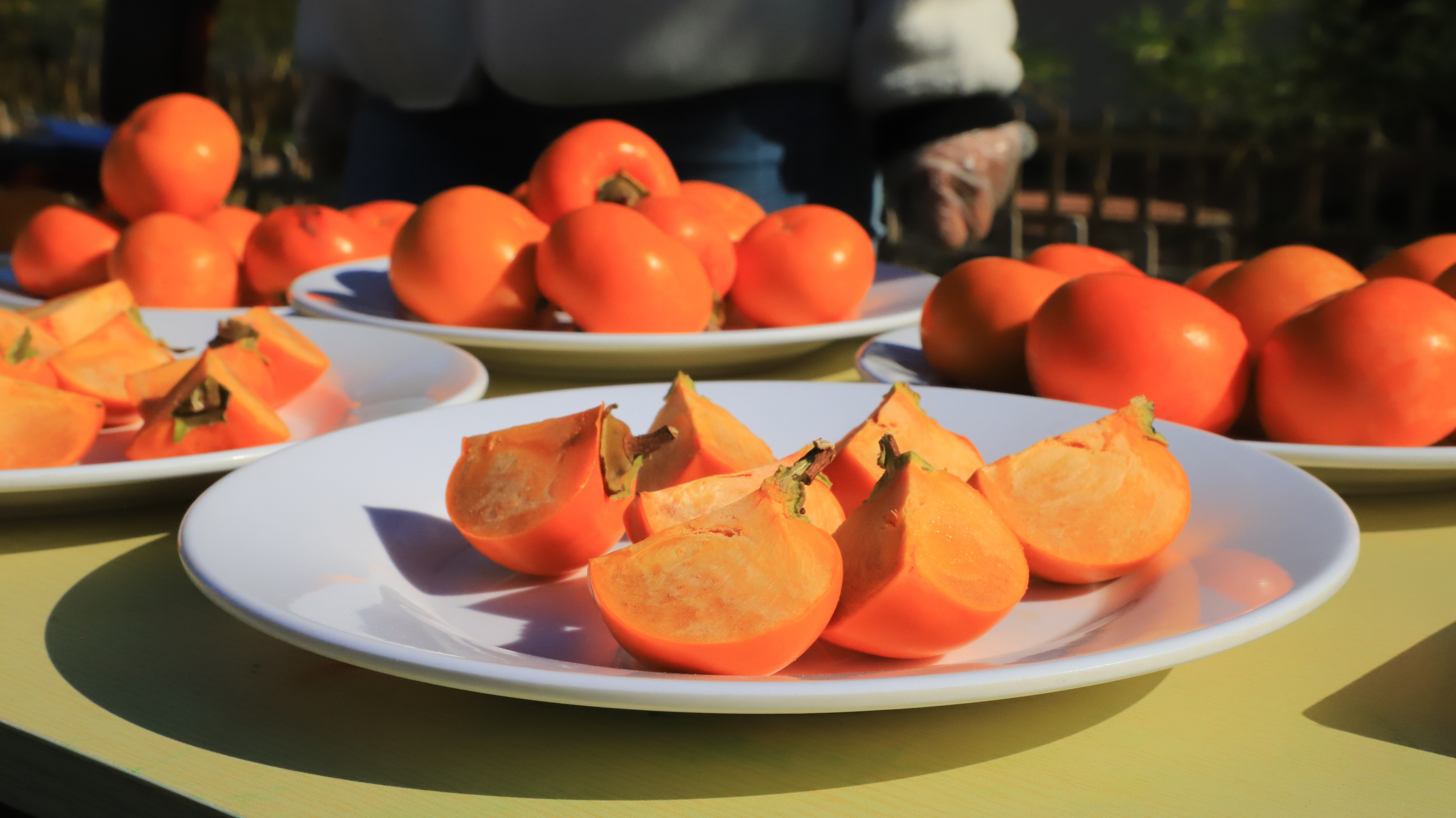 昌平区十三陵镇举办首届“明‘柿’·明理·天下明”柿子文化节