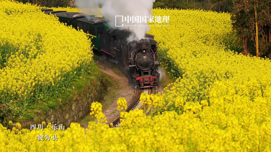 开往春天！“绝版”小火车开启“花季之旅”