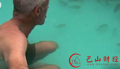 食人鱼堪称淡水区的猛兽，不过研究显示他们团体行动其实是因为食人鱼是一种胆小的鱼类，而食人鱼在生命的某个阶段中是一直在吃草，所以严格来说也不是肉食性鱼类。不过食人鱼会吃肉的事实还是铁证如山，例如小编曾经写过巴西一名男子用动物的内臟在河中钓食人鱼。