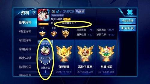 王者荣耀:全服成就第一人已经出现,快点来膜拜