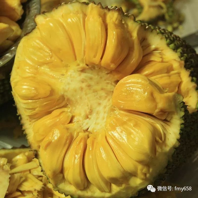 菠萝蜜是凉性还是热性水果以及波罗蜜对人体有