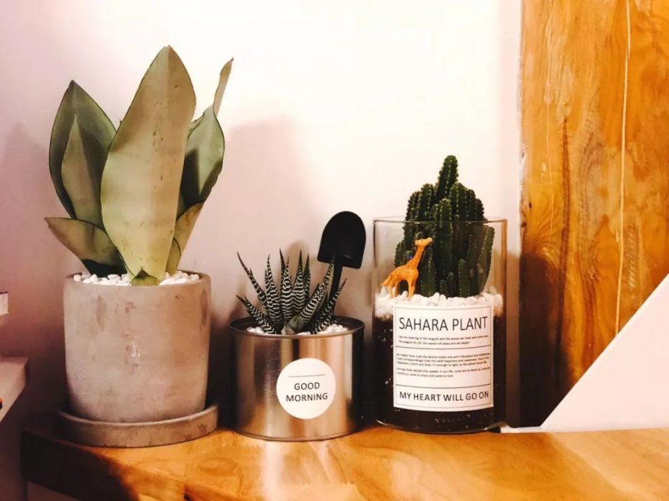 北京后海20老破小,让我们怎么…住的这么开