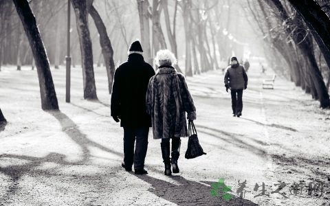 适合中老年人的娱乐项目