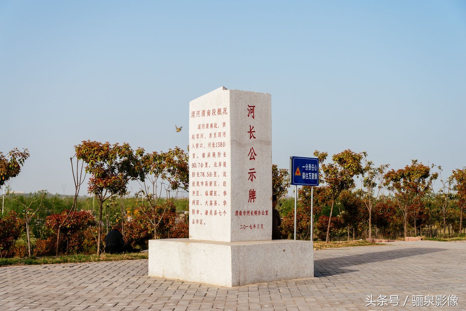 陕西关中:渭南渭河生态公园春意盎然 游人如织