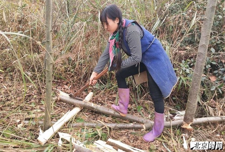 解古阿星正在用斧头劈柴。去年10月份，解古阿星第一次接触到短视频平台，并将自己日常干重活儿的视频发到平台上，因为有着高颜值和大力气，一年时间以后，这位彝族姑娘在网上获得了超过70万粉丝的关注，还被许多粉丝冠以“最美女汉子”称号。