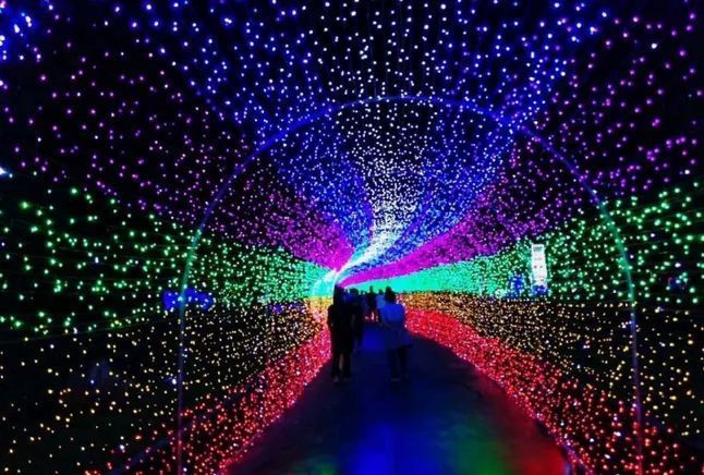 水幕光影秀+精彩演艺+台湾美食节+梦幻灯光节