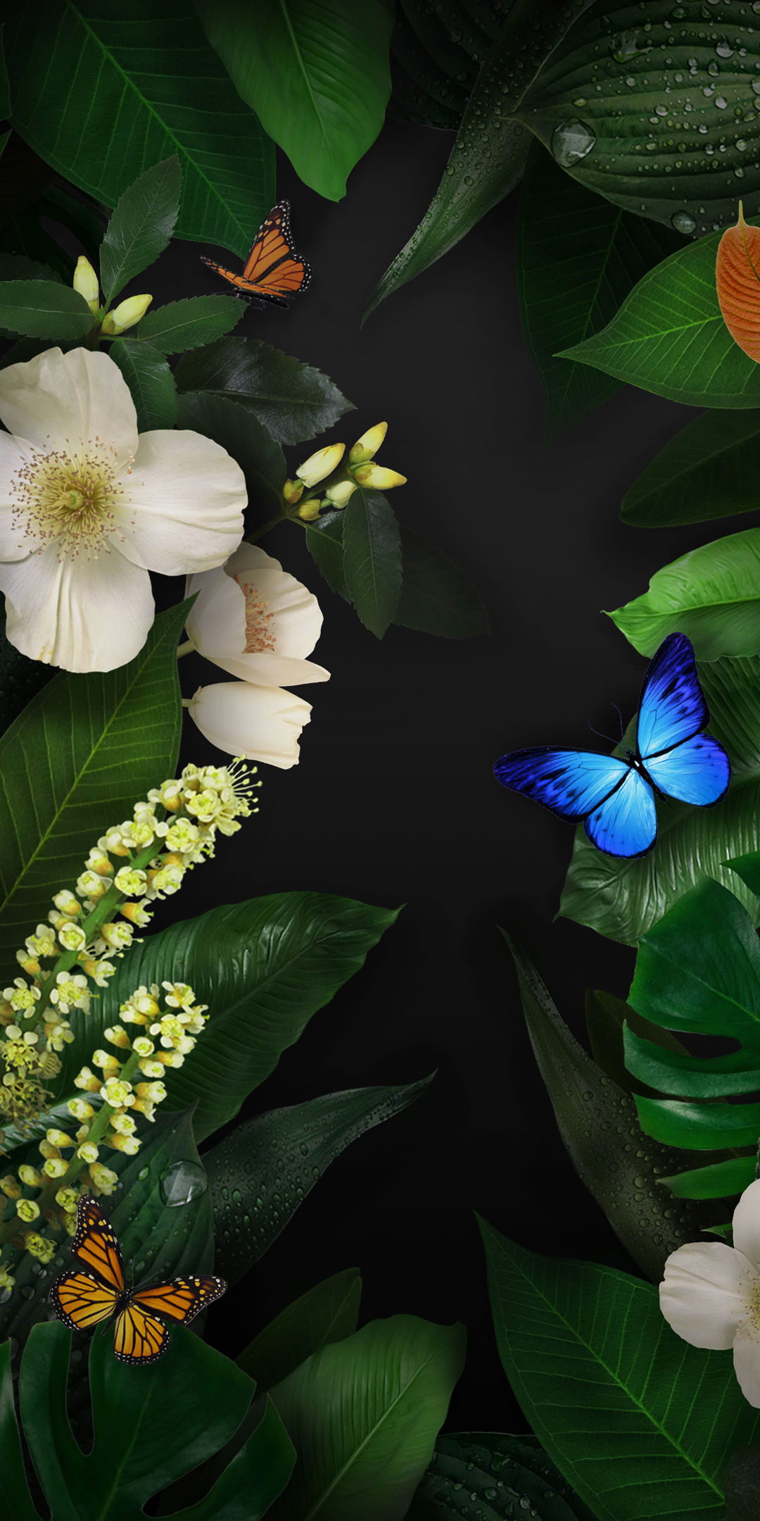 16张EMUI 8.0系统高清壁纸,来自华为Mate10 P