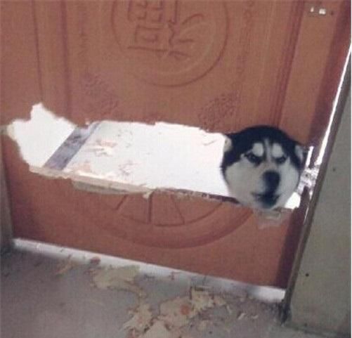 你瞅瞅咱家闺女懒得,以后要是结了婚,男方家里