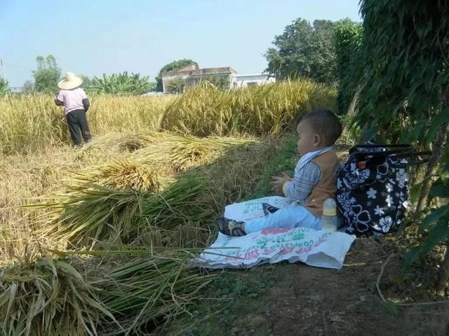 斯坦福教授罗斯高:中国高中教育普及还没到位