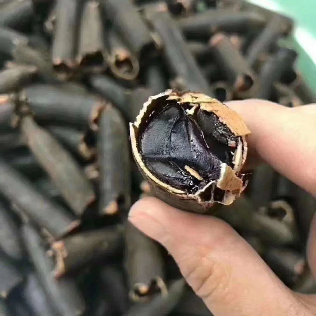 云南便秘果每天吃一点清脂又通便给肠道洗洗澡吧