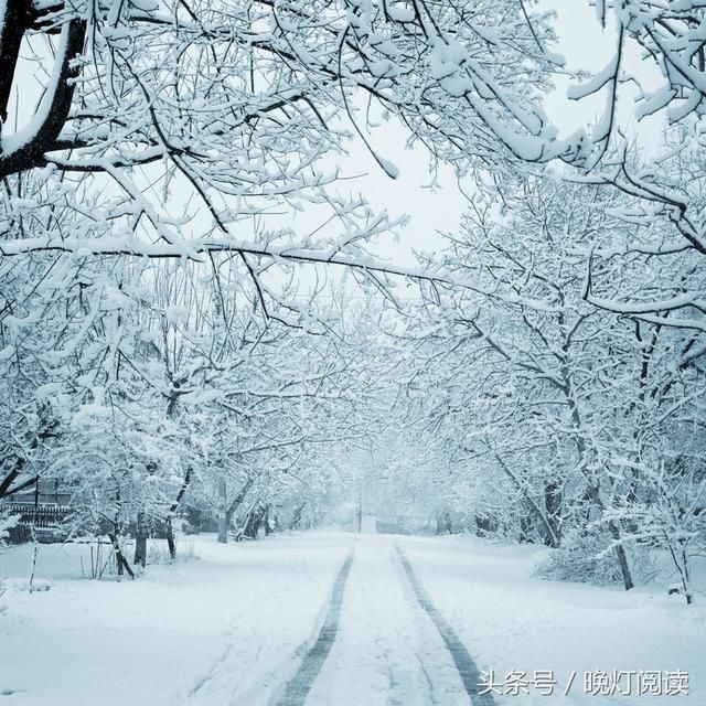 雪景见诗词夜深知雪重,时闻折竹声