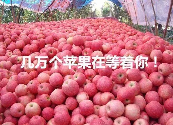 美术生,集训时你最烦什么?