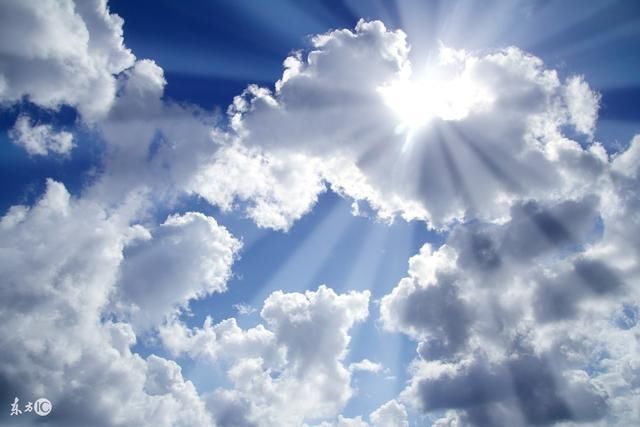 属狗人最命苦的出身月份,说进去能吓你一跳,