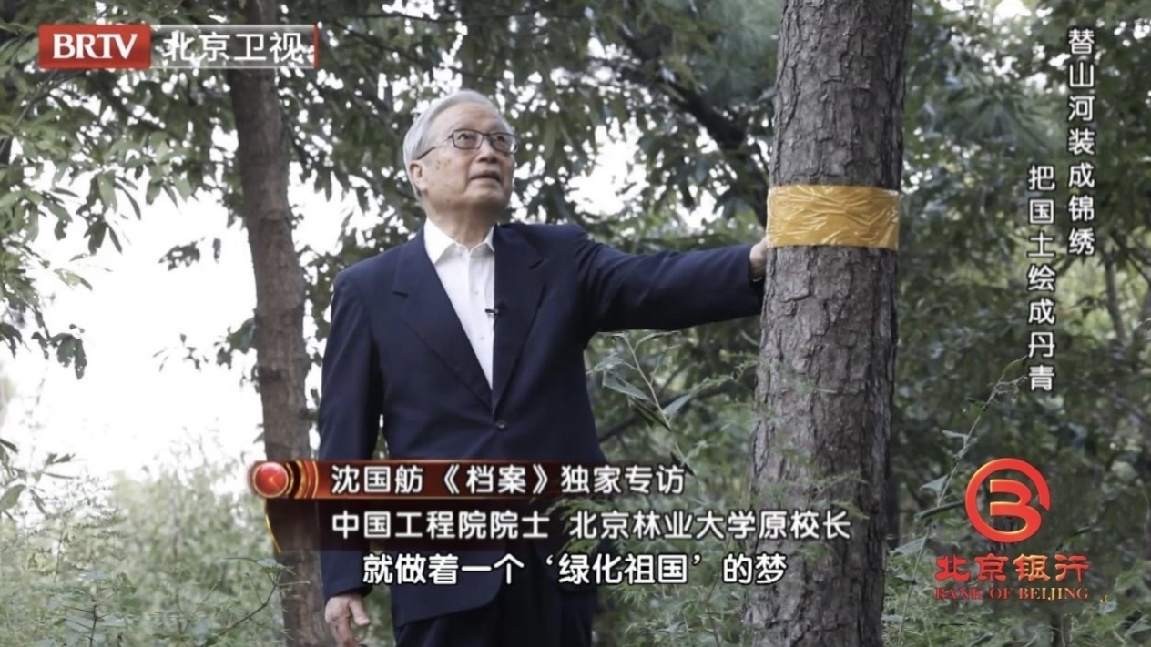 北京最美的校园竟然是它?据说,银杏是它的眼睛 北京最美的校园竟然是它?据说,银杏是它的眼睛