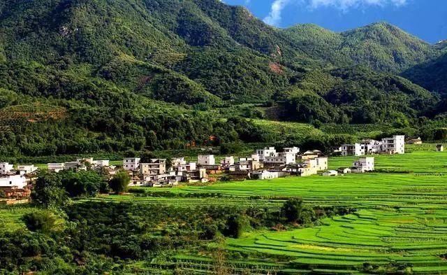 新政策 农村自建房占地面积有了新规定