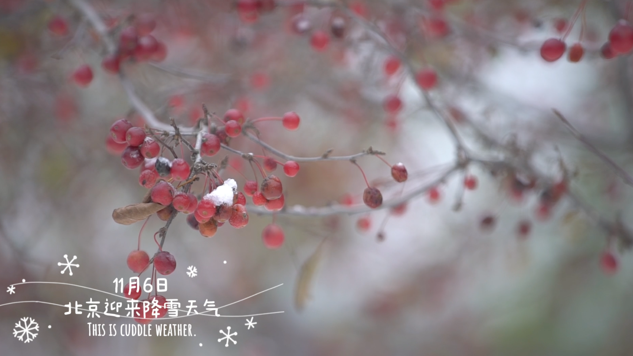 应对雨雪寒潮天气，石景山区鲁谷街道这样做