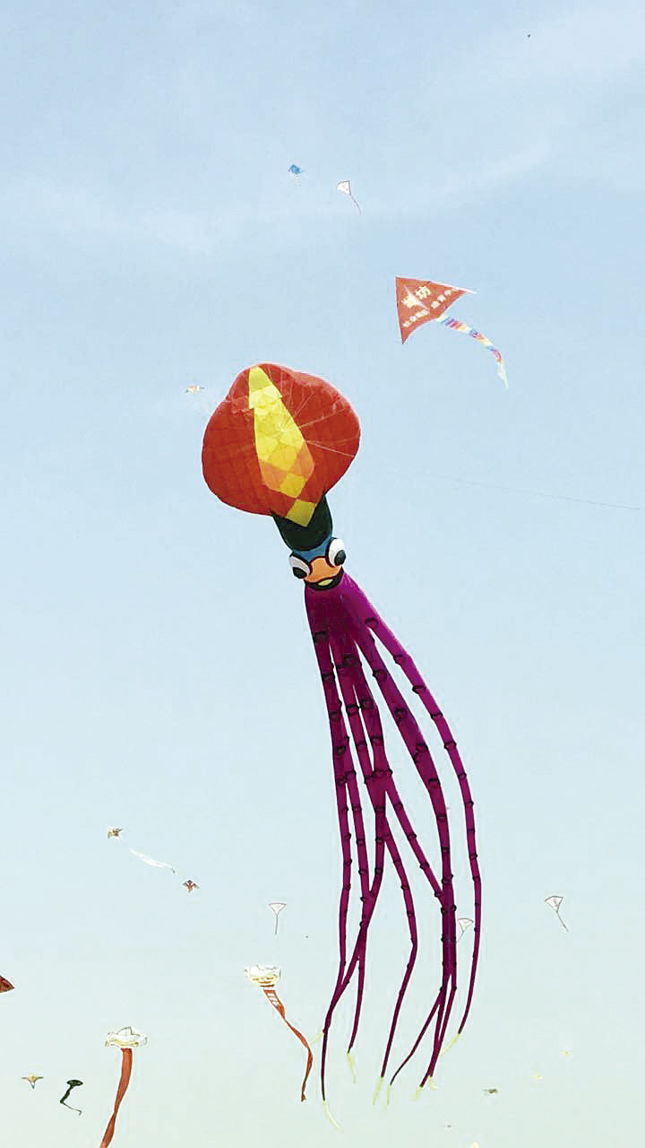 35米长"鱿鱼"风筝高度堪比12层楼 放鸢季带你看龙江奇葩风筝