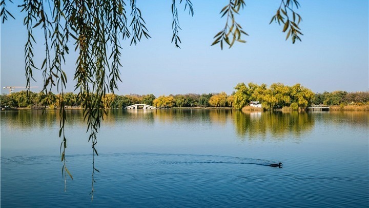 “中国之治”内在逻辑关系的探索与认识