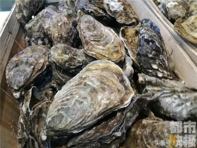 西安一吃货巴黎买近50斤生蚝 刚到机场就被