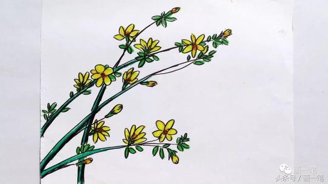 水粉画:小朋友,和爸爸妈妈一起画茶花,十大名