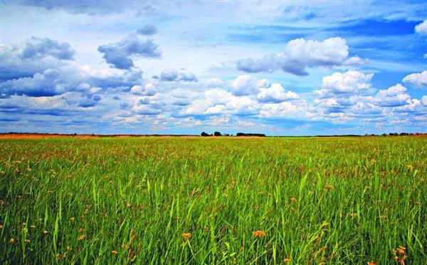 农业农村部将开展农村集体产权制度改革督查