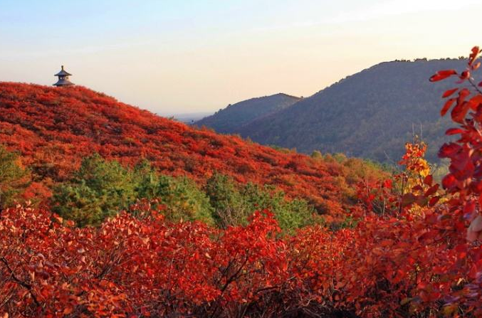 北京重阳节登高好去处：香山