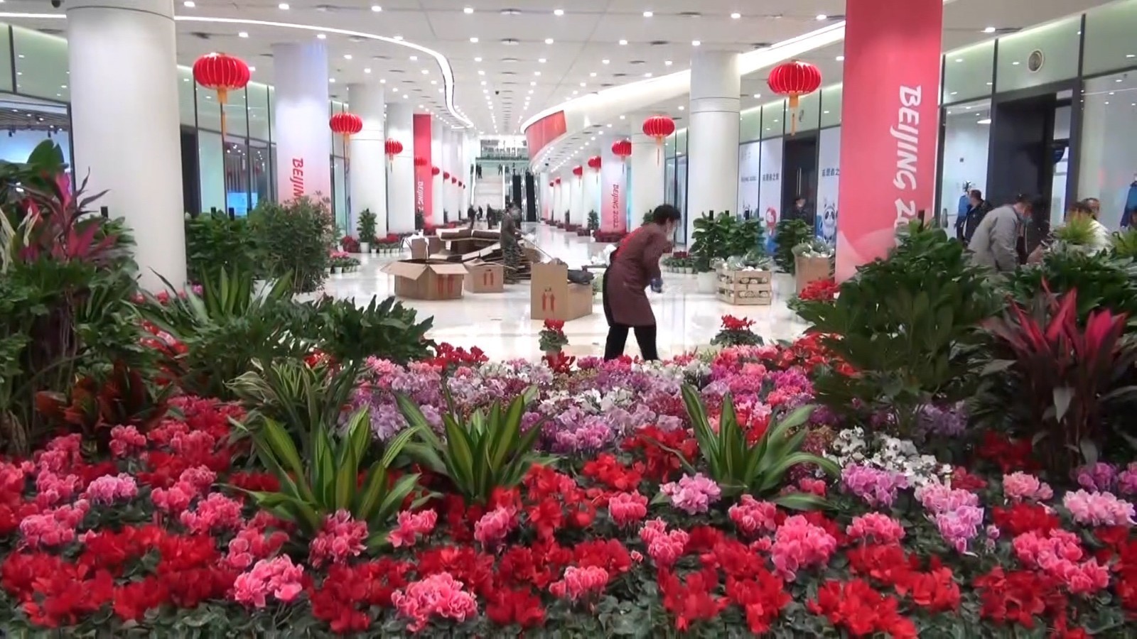 红红火火!北京冬奥村新年换新装啦! 红红火火!北京冬奥村新年换新装啦!