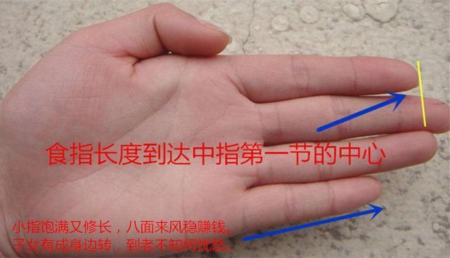 五指之首,大拇指手相粗细,决定你今生事业财运,是否能白手起家 五指之首,大拇指手相粗细,决定你今生事业财运,是否能白手起家