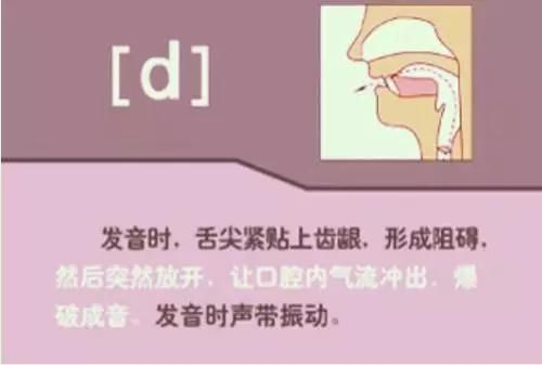 48个英语音标发音规则