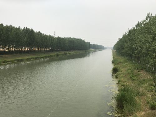 生态有机农业与宝应千丝万缕的情缘