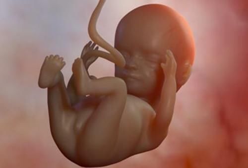怀孕长达十个月,期间胎儿的排泄物都到哪去了?看完心塞塞
