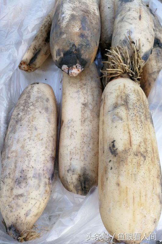 小油菜4块钱一斤 有的新鲜蔬菜比鲤鱼还贵 2斤