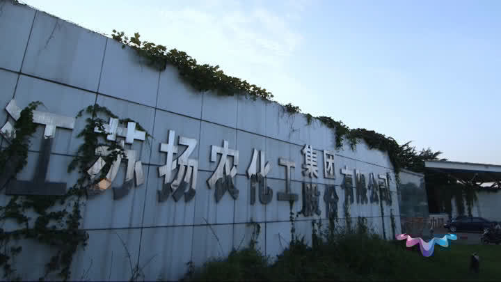 “扬农”转型升级再出发：坚守创新发展，老牌企业“永葆长青”