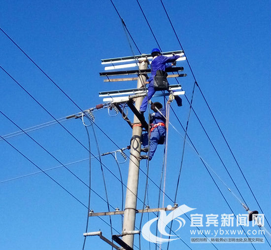 酷热奋战!宜宾南屏供电公司为养殖场架线通电