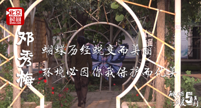 砥砺五年 温暖一刻:关了煤矿养蝴蝶 她的日子美丽又甜蜜 砥砺五年 温暖一刻:关了煤矿养蝴蝶 她的日子美丽又甜蜜