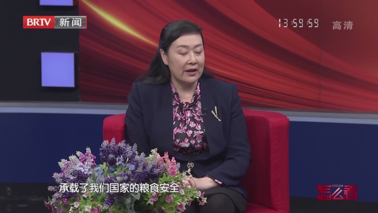 《怎么看》20221215加快构建新发展格局 着力推动高质量发展（下）