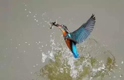 高速摄影,不只是调快门时间那么简单!摄影师值