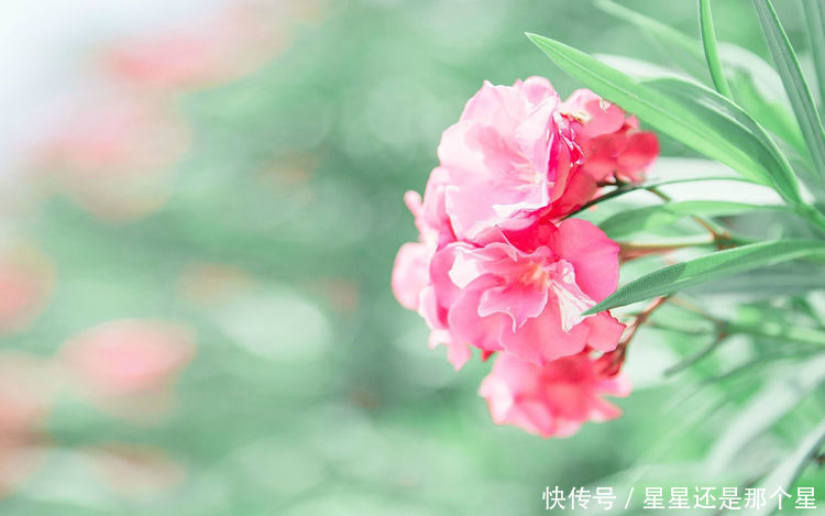 六月底横财进家,喜事天降添丁添财,升官发财,大富大贵3生肖