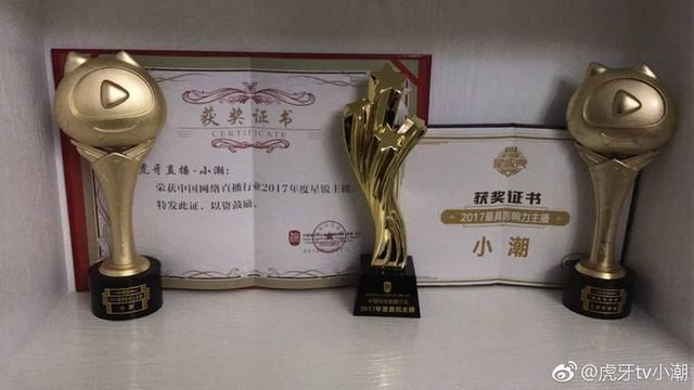 在虎牙直播运营小潮浣熊等主播的大鹅公司是什