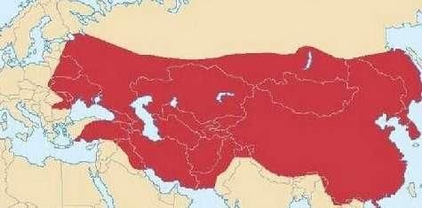 世界史学界:中国没有元朝,只有蒙古殖民的一百