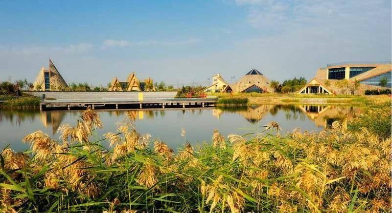 黑龙江第二大城市,人均GDP2万美元,中国城市