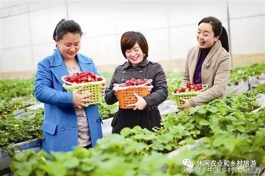 十年后,休闲农业和乡村旅游发展成什么情形?