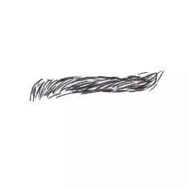 从眉毛看你的人生运势,二十二种眉毛大全,快来测下吧.