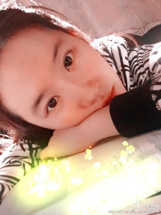 刘亦菲晒素颜读书照 扎马尾清纯似高中生